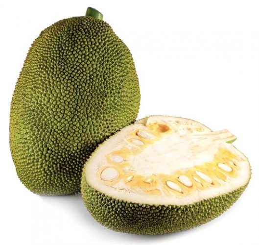 Jackfruit catches on as meat substitute